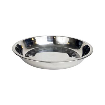 22CM STAINLESS STEEL PLATE WIDE RIM